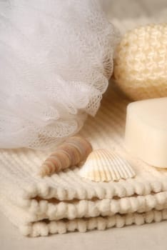 soap and sponge