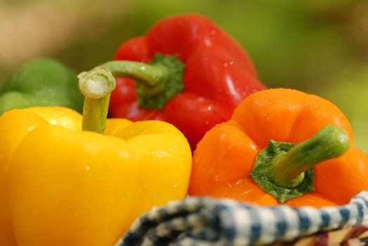 healthy vegetables in basket