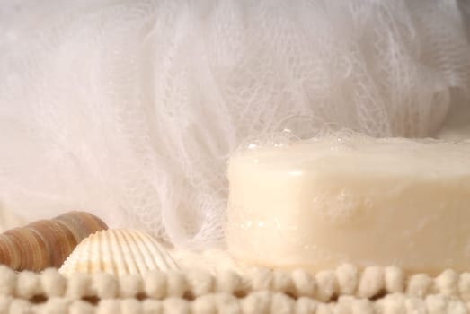 soap and luffa