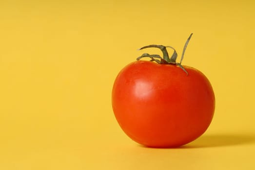 tomato on yellow background