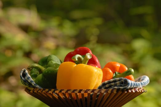 vegetables in a basket