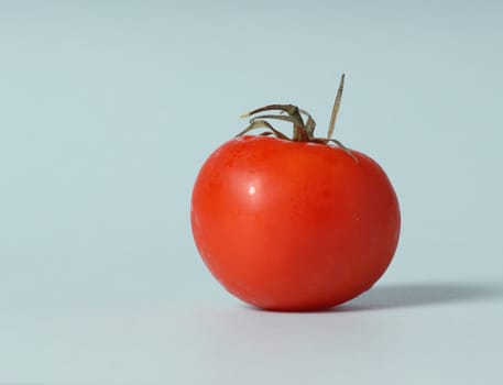 tomato on blue background