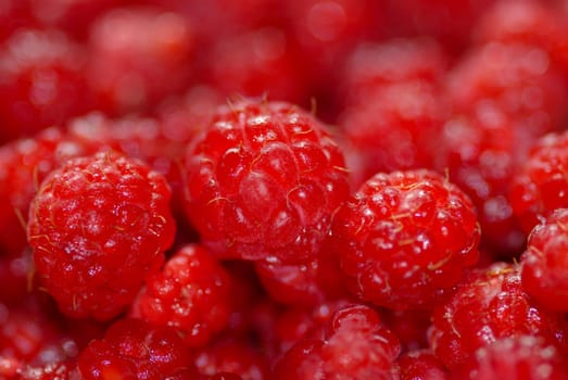 macro of fruit