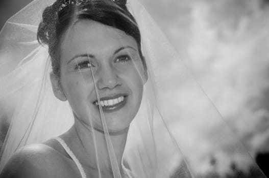 White Bride at her wedding posing with veil