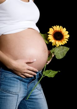 pregnant belly of woman holding a sunflower