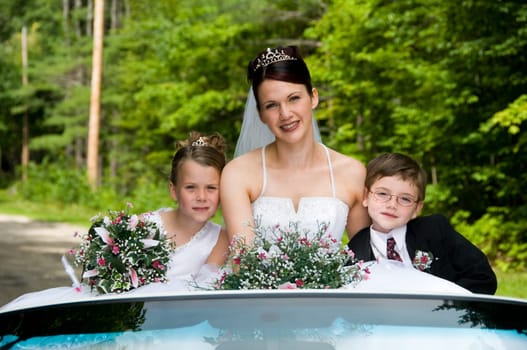 White Bride at her wedding posing with veil
