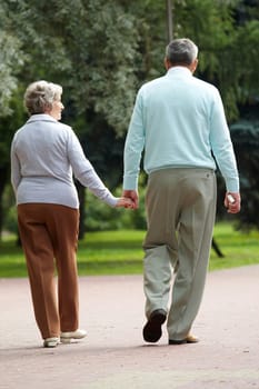 Rear view of senior couple walking down in park and chatting