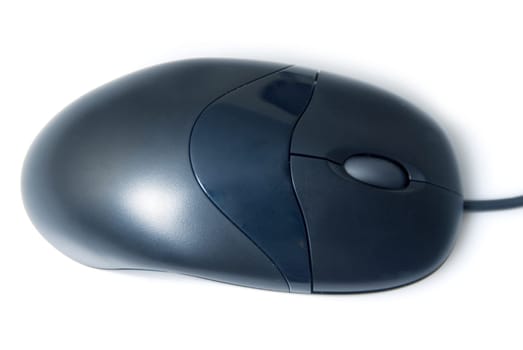 computer mouse on white background