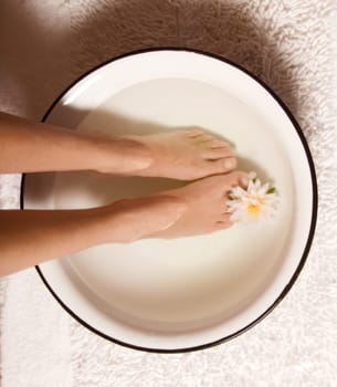 foot bath at a day spa in a bowl