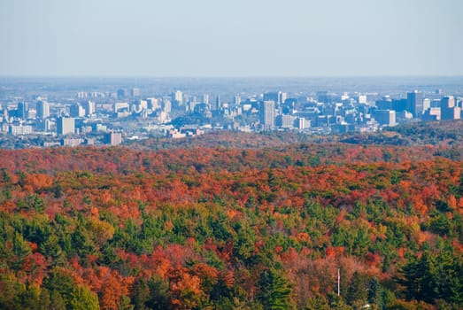 city close to nature in forest in autumn
