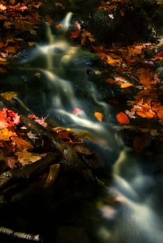 water steeam in fall with some leaves in red
