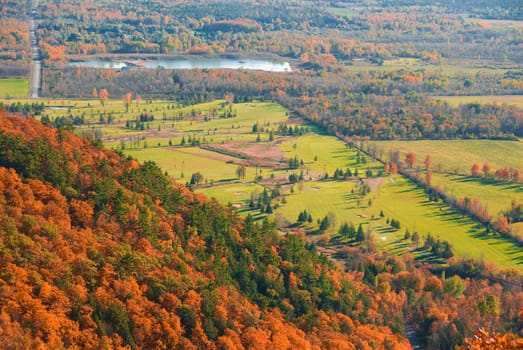golf course viewed from above in fall nature