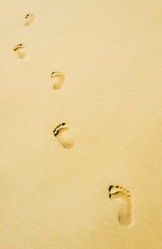 foot steps on the beach in the tropics