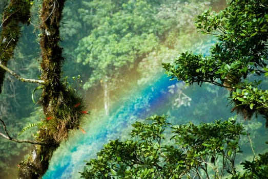 this is a rainbow in the rain forest of Panama