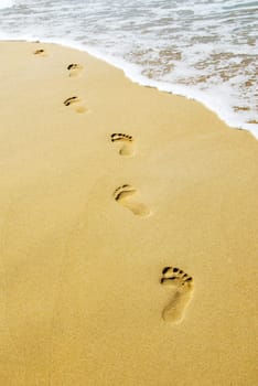 foot steps on the beach in the tropics