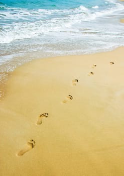 foot steps on the beach in the tropics