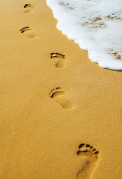 foot prints in the sand at the beach