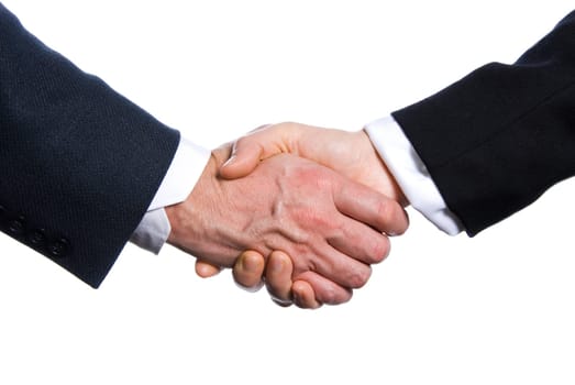 two hands shaking on a white background