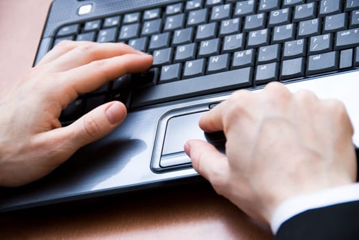 female hands on the grey laptop keyboard
