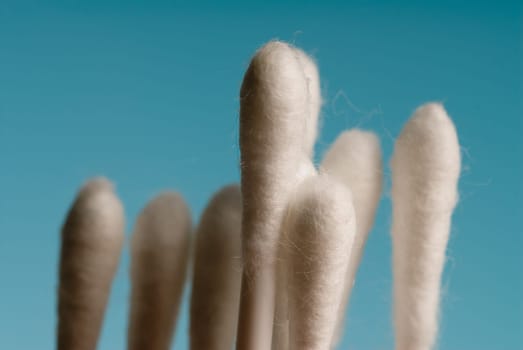 swabs on a blue background