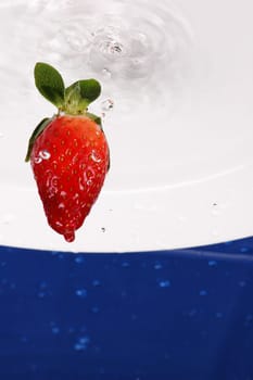 reversed splash on white plate