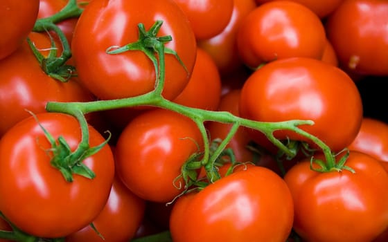 fresh tomatoes red at a farmers market