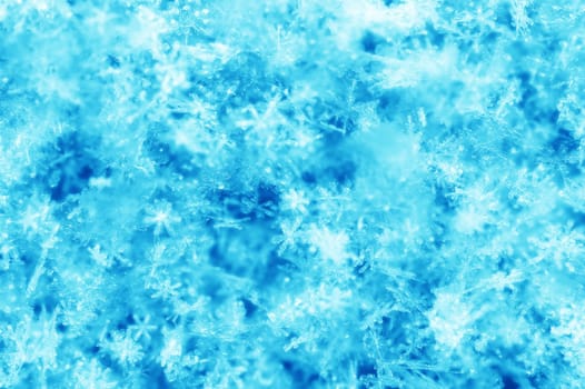 snow flakes in blue in winter in a bunch