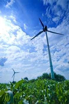 clean energy white wind turbine in corn field