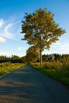 a single road in the country by some wheat fields