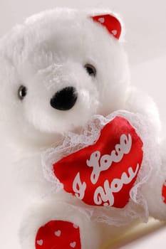 teddy