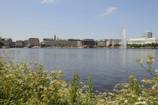 Alster in Hamburg