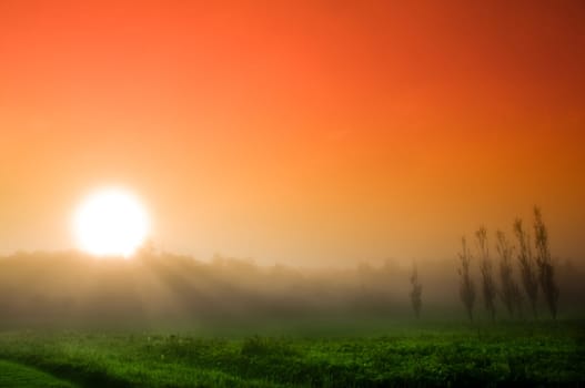 beautiful sunrise over a field in the countryside