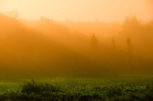 beautiful sunrise over a field in the countryside