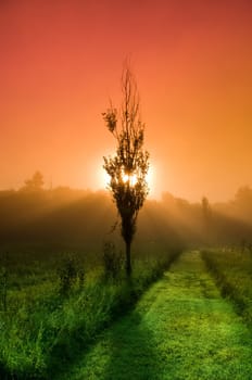 beautiful sunrise over a field in the countryside