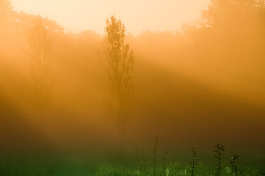 beautiful sunrise over a field in the countryside