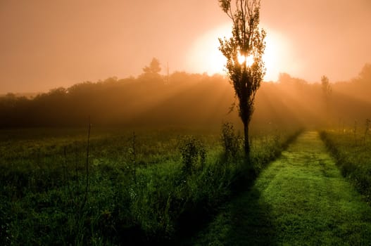 beautiful sunrise over a field in the countryside
