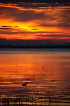 watching a sunset on the calm water