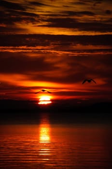 watching a sunset on the calm water