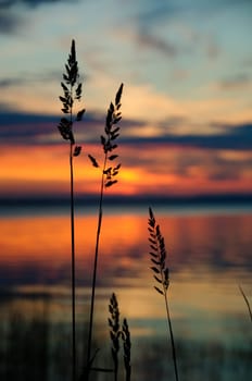watching a sunset on the calm water
