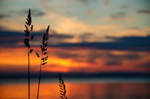 watching a sunset on the calm water