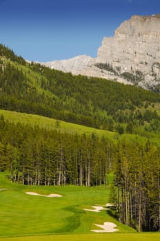 golf course land scape on green grass