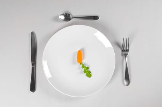 White Plate and Diet with nutrition and hunger