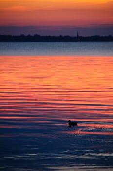 watching a sunset on the calm water