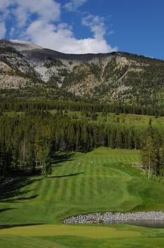 golf course land scape on green grass