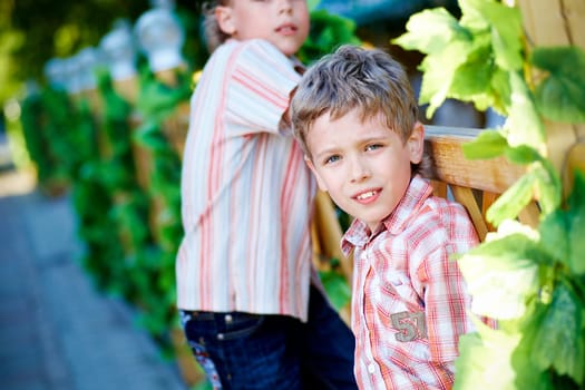 Portrait of calm kid looking at camera with his friend behind