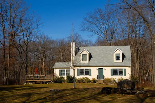 House in the country with many trees