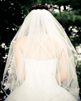 White Bride at her wedding posing with veil