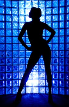 Sexy Silhouette female on a blue glass wall