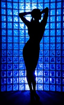 Sexy Silhouette female on a blue glass wall
