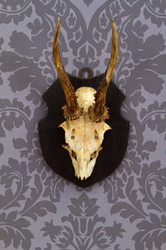 Antlers on floral wallpaper